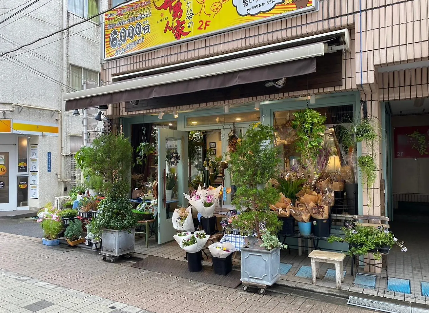Shibuya Tokyo Apartment